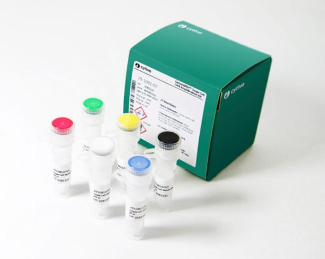 Cytiva&nbsp;Kit d’amplification d’ADN illustra&trade; Single Cell GenomiPhi&trade;
