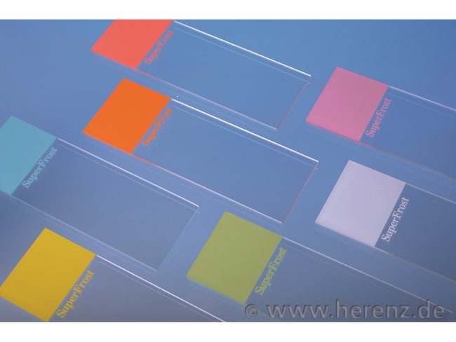 Heinz Herenz Superfrost Slides Cut Edges