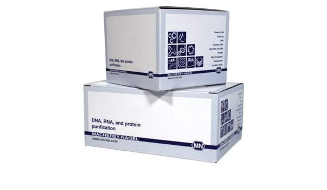Macherey Nagel Bioanalysis&trade;&nbsp;Kit de base d’ARN NucleoSpin&trade; 8