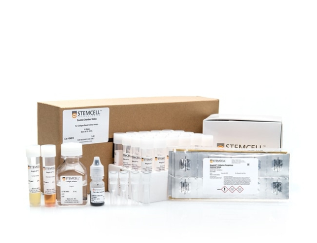 STEMCELL Technologies&amp;nbsp;MegaCult&amp;trade;-C Complete Kit Without Cytokines