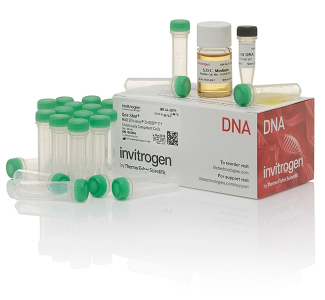 Invitrogen&amp;trade;&amp;nbsp;One Shot&amp;trade; MAX Efficiency&amp;trade; DH10B T1 Phage-Resistant Cells