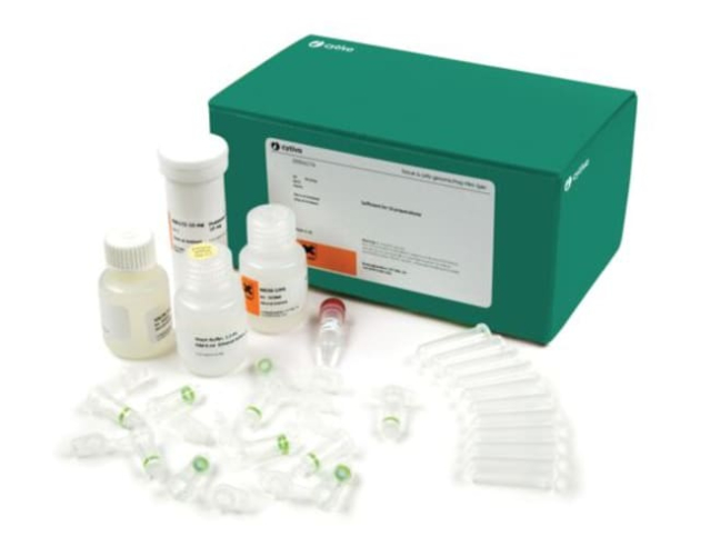 Cytiva&amp;nbsp;illustra&amp;trade; Kit genomicPrep Mini Spin pour tissus et cellules