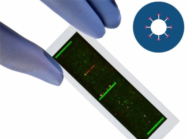 PEPperCHIP&amp;trade;&amp;nbsp;Microarray d’antigènes de Trypanosoma Brucei