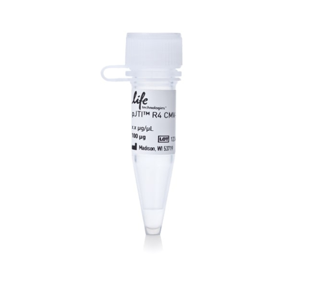 pJTI&trade; R4 CMV-TO MCS pA Vector