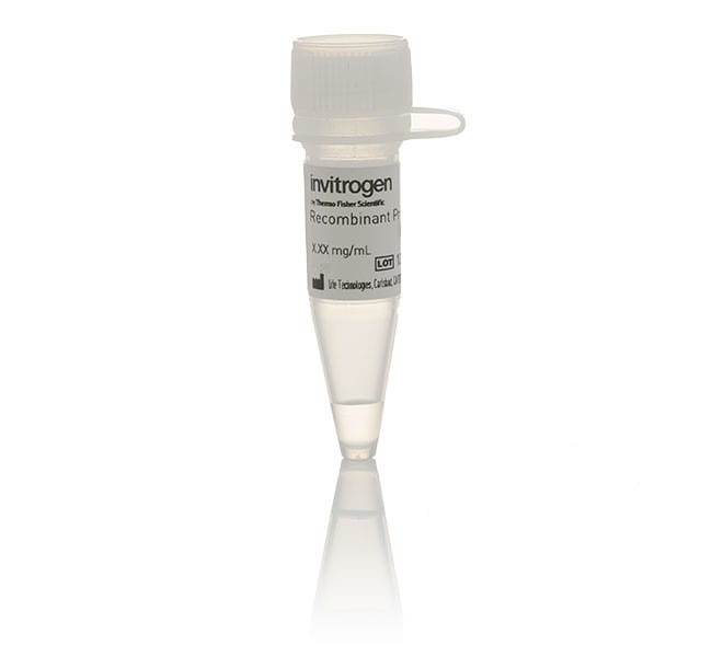 Invitrogen™ Human Factor Va Native Protein