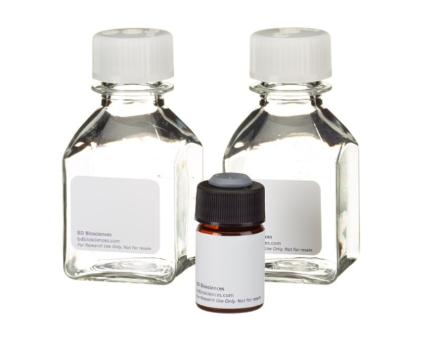 BD&nbsp;Annexine V : Kit de microscopie par fluorescence FITC