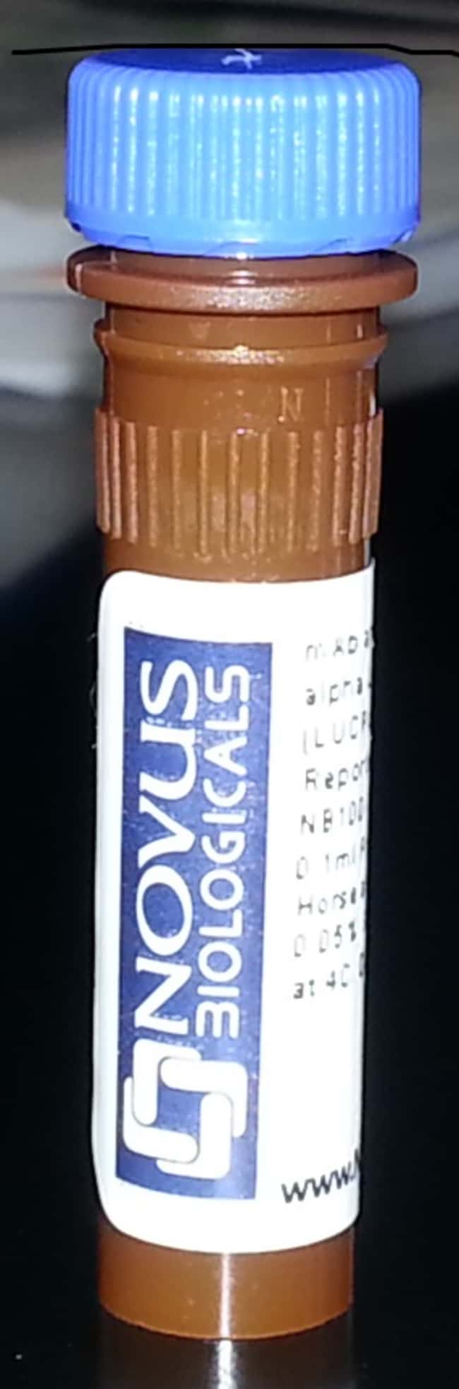 Novus Biologicals&trade;&nbsp;pCL-10A1 Retrovirus Packaging Vector