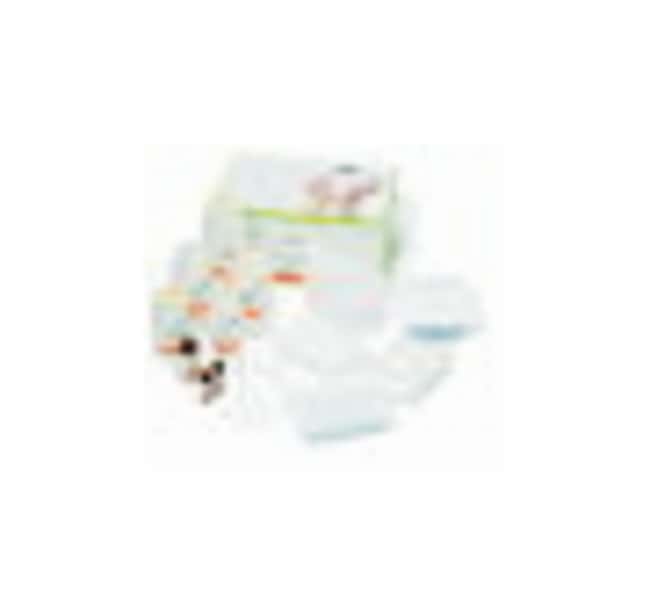 Cytiva&nbsp;Kit d’isolement d’ARN RNAspin 96