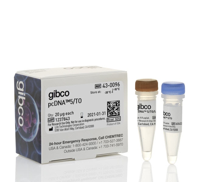 Invitrogen&trade;&nbsp;pcDNA&trade;5/TO Mammalian Expression Vector