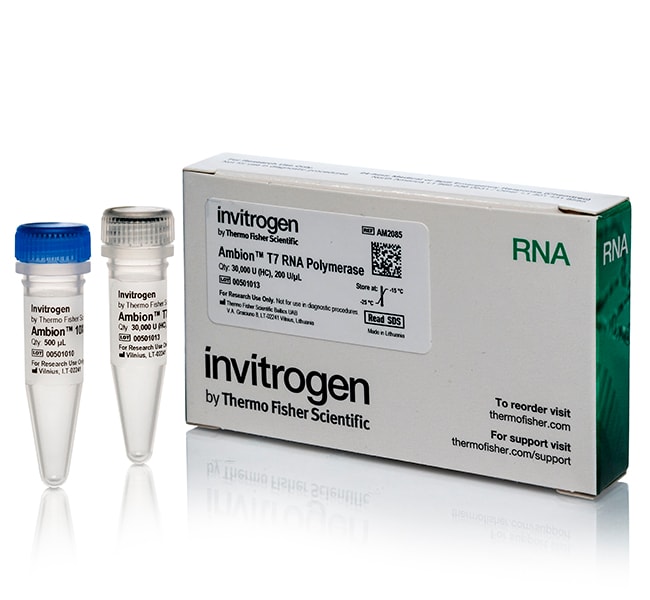 Invitrogen™ Ambion™ T7 RNA Polymerase, cloned, 200 U/μL
