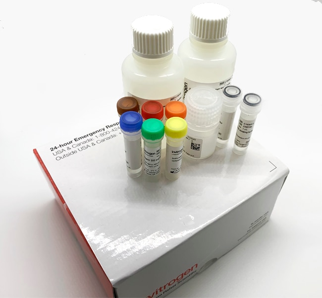Invitrogen&trade;&nbsp;Kit de capture de l’ARN naissant Click-iT&trade;, pour analyse de l’expression génétique