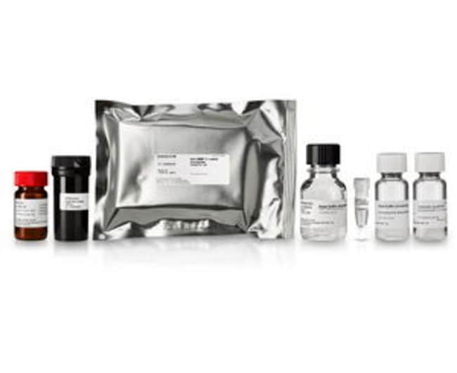 Cytiva&nbsp;Test d’activité de la MMP-2 BioTraktrade;