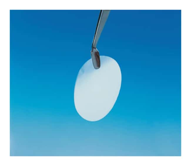 Cytiva&nbsp;Membranes poreuses en polycarbonate de 19 mm Whatman&trade; Nuclepore&trade;