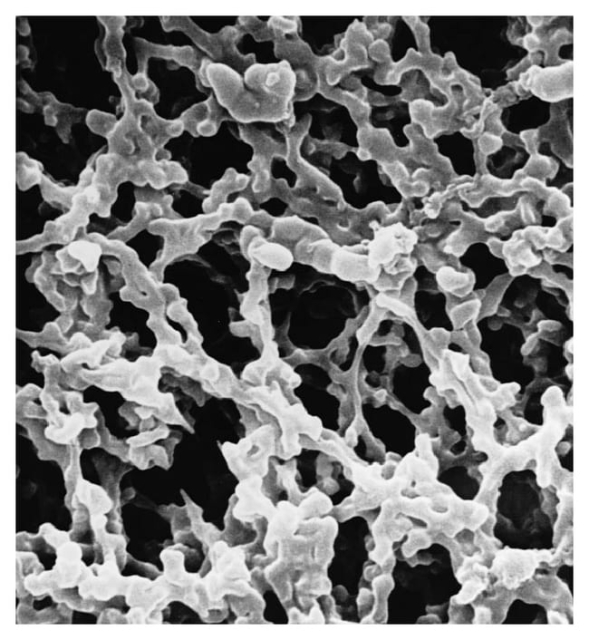 Merck&amp;nbsp;Membranes d’ester de cellulose mixte MF-Millipore&amp;trade; : Taille des pores : 0,80 &amp;mu;m