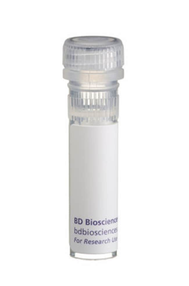 BD&nbsp;Interleukine-4 recombinante de rat (IL-4)