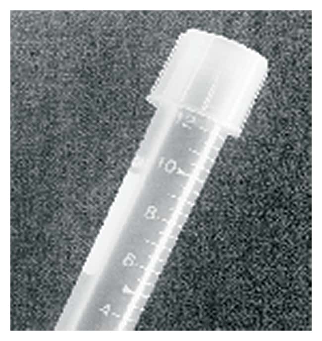 Falcon&trade;&nbsp;Tubes en polypropylène à fond rond
