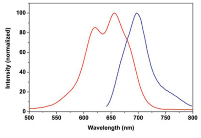 Abnova&amp;trade;&amp;nbsp;Colorant fluorescent Ester 700-M succinimidyl (rouge)