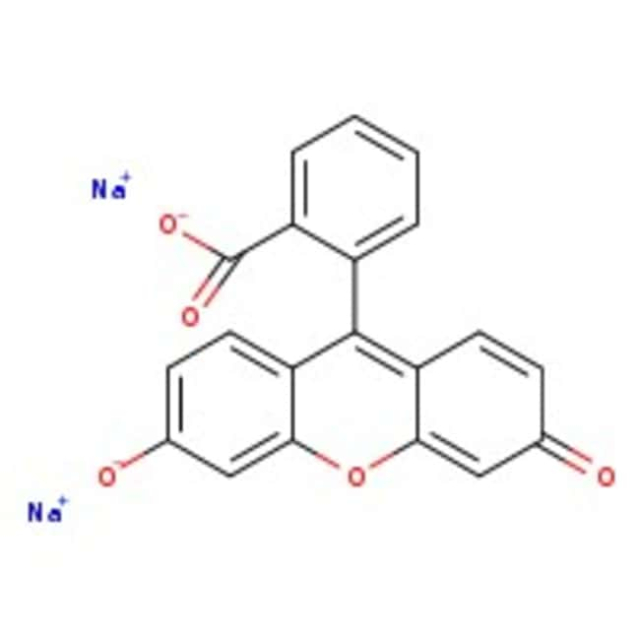  Thermo Scientific Chemicals Fluorescéine, sel disodique, pure