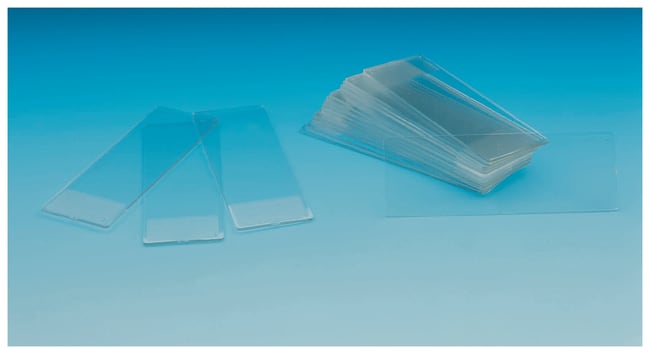 Thermo Scientific™ Nunc™ Microscope Slides