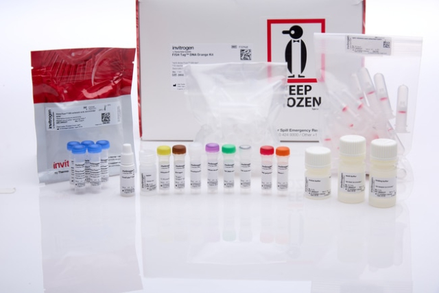 Molecular Probes&trade;&nbsp;FISH Tag&trade; DNA Kits with Alexa Fluor&trade; Dyes