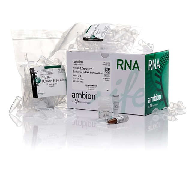Invitrogen&trade;&nbsp;MICROB<i>Express</i>&trade; Bacterial mRNA Enrichment Kit