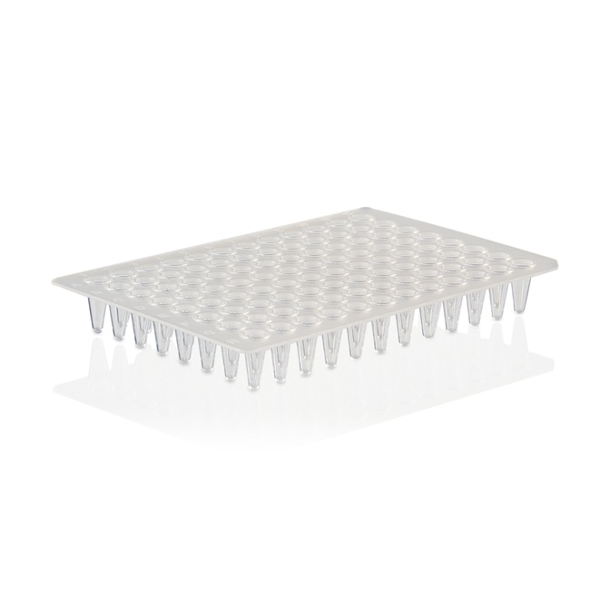 Thermo Scientific™ PCR Plate, 96-well, low profile, non-skirted, Sustain™ Series