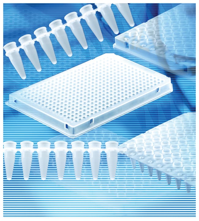 BRAND&trade;&nbsp;Plaques PCR blanches à 384 puits