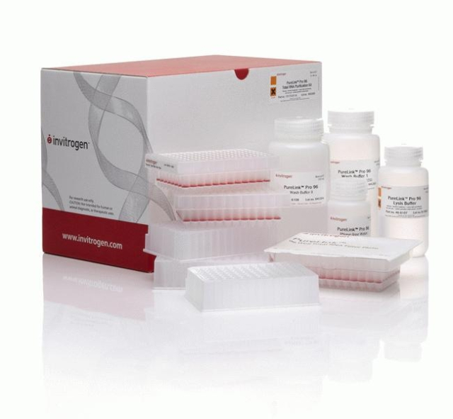 Invitrogen&trade;&nbsp;PureLink&trade; <i>Pro</i> 96 total RNA Purification Kit