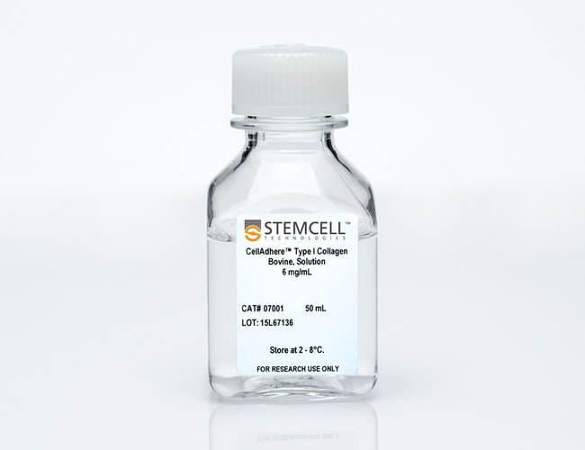 STEMCELL Technologies&nbsp;CellAdhere&trade; Type I Collagen, Bovine, Solution