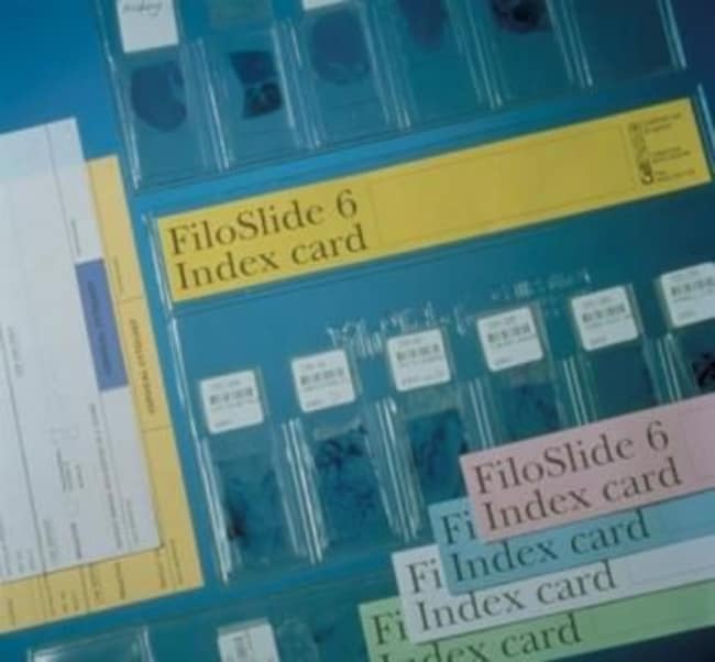 Cellpath FiloSlide Plastic Slide Wallets