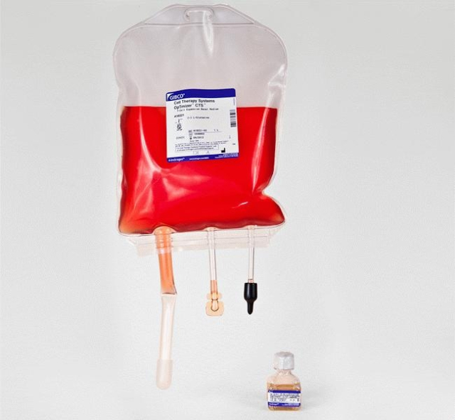 Gibco&amp;trade;&amp;nbsp;CTS&amp;trade; OpTmizer&amp;trade; T Cell Expansion SFM, bag format