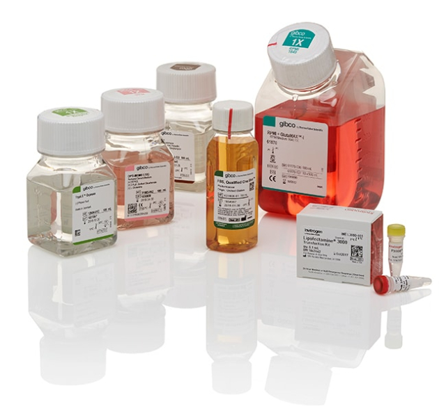 Gibco&amp;trade;&amp;nbsp;Kit de démarrage de culture de cellules du cancer de la prostate, Europe