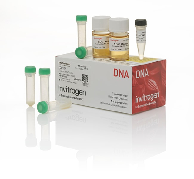 Invitrogen&amp;trade;&amp;nbsp;TOP10F&#x27; Electrocomp&amp;trade; Kit