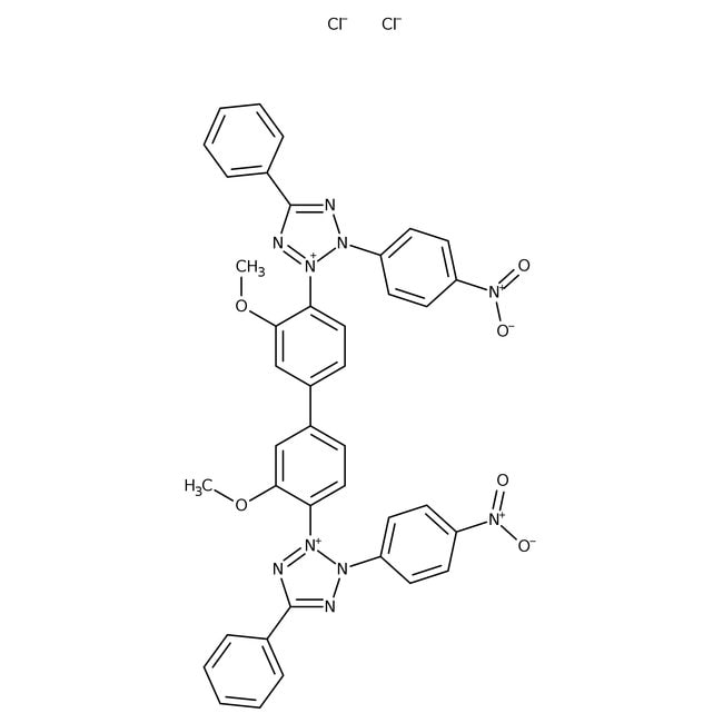 Thermo Scientific Chemicals&nbsp;Chlorure de tétrazolium bleu nitro monohydraté, 90 %