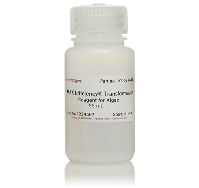 Invitrogen™ MAX Efficiency™ Transformation Reagent for Algae