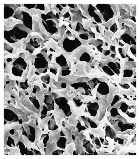 Merck&amp;nbsp;Filtres à membrane en PVDF Durapore&amp;trade; : Hydrophile : Taille des pores : 5,0 &amp;mu;