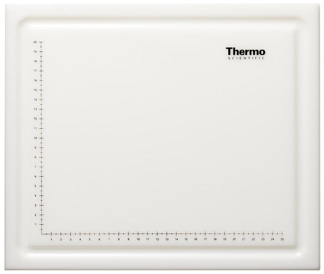 Fisherbrand™ Plaque de dissection Richard-Allan Scientific™ : 0.625 x 13 x 11 in