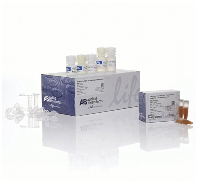 Applied Biosystems&trade;&nbsp;Kit de purification ABC de micro-ARN TaqMan&trade; - panel humain B