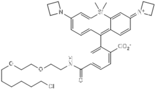 Tocris Bioscience&trade;&nbsp;Janelia Fluor&trade; 646, Haloalkane