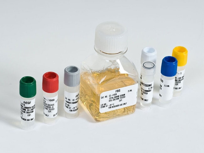 Lonza™ SingleQuots™ Endothelial Cell Growth Medium-2MV