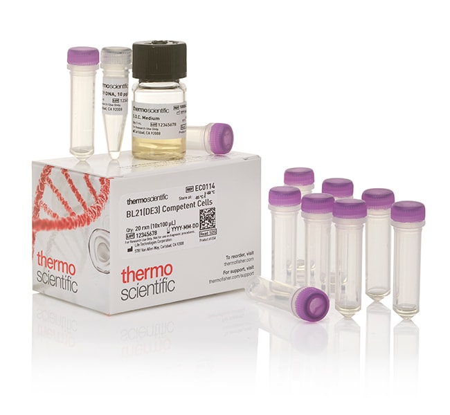 Thermo Scientific&trade;&nbsp;Cellules compétentes BL21 (DE3)