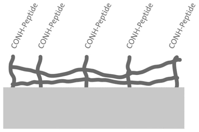 Corning&amp;trade;&amp;nbsp;Microplaques à surface Synthemax&amp;trade;