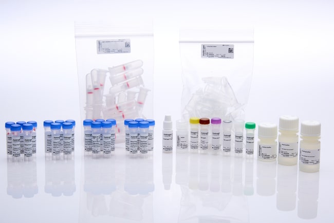 Molecular Probes™ FISH Tag™ DNA Multicolor Kit, Alexa Fluor™ dye combination