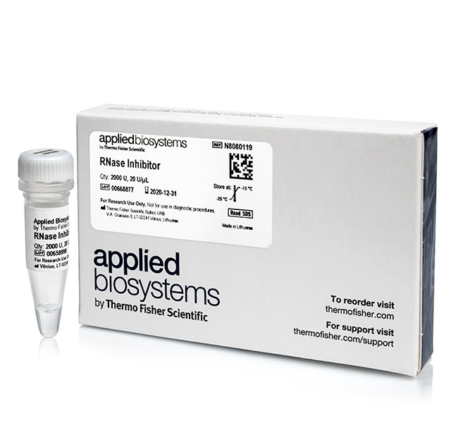 Applied Biosystems&trade;&nbsp;Inhibiteur RNase