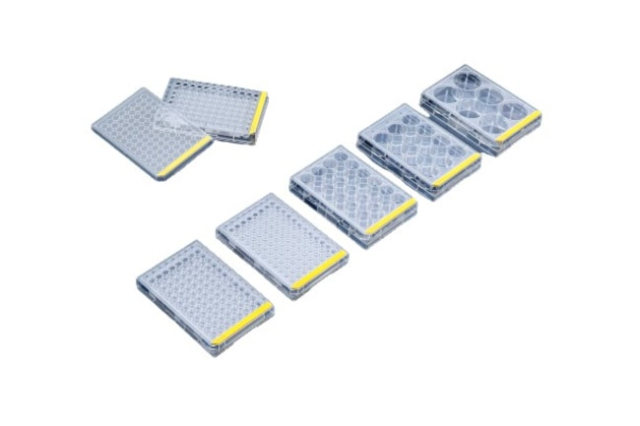 TPP&amp;trade;&amp;nbsp;Cell Culture Microplates