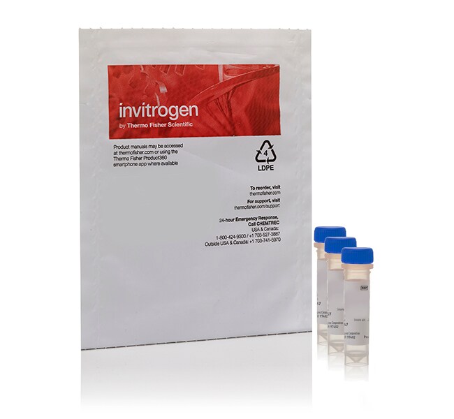 Invitrogen™ ImaGene Red™ C<sub>12</sub>RG <i>lacZ</i> Gene Expression Kit