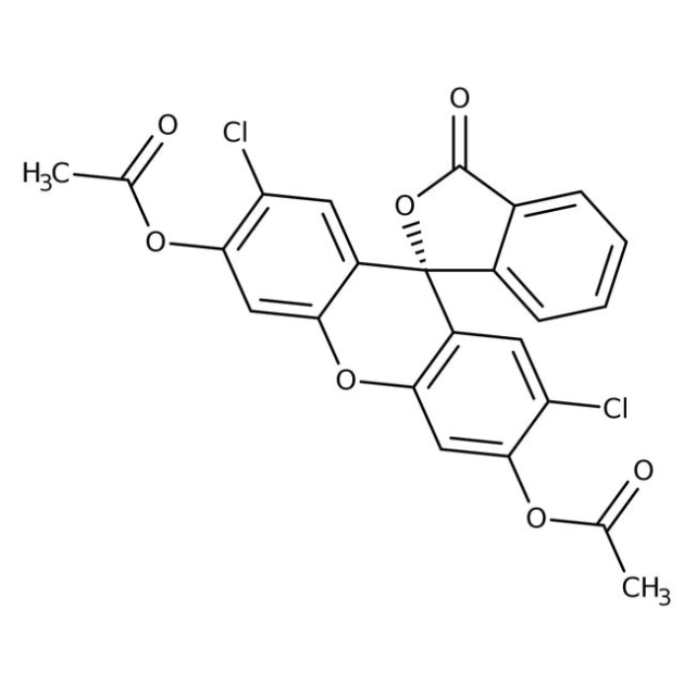  2’,7’-dichlorofluorescéine 3 ’,6’-diacétate, 97 %, Thermo Scientific Chemicals