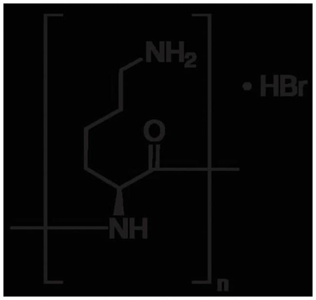 MP Biomedicals&amp;trade;&amp;nbsp;Facteurs de fixation du bromhydrate poly-L-lysine : &amp;ge;70 000 MW