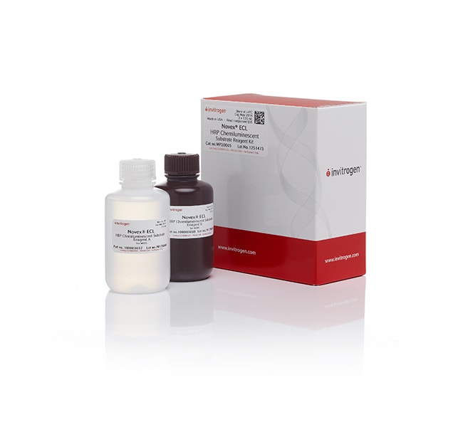 Invitrogen&trade;&nbsp;Novex&trade; ECL Chemiluminescent Substrate Reagent Kit