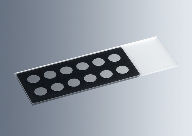 Marienfeld Superior™ Lames porte-objets de diagnostic avec puits à réaction